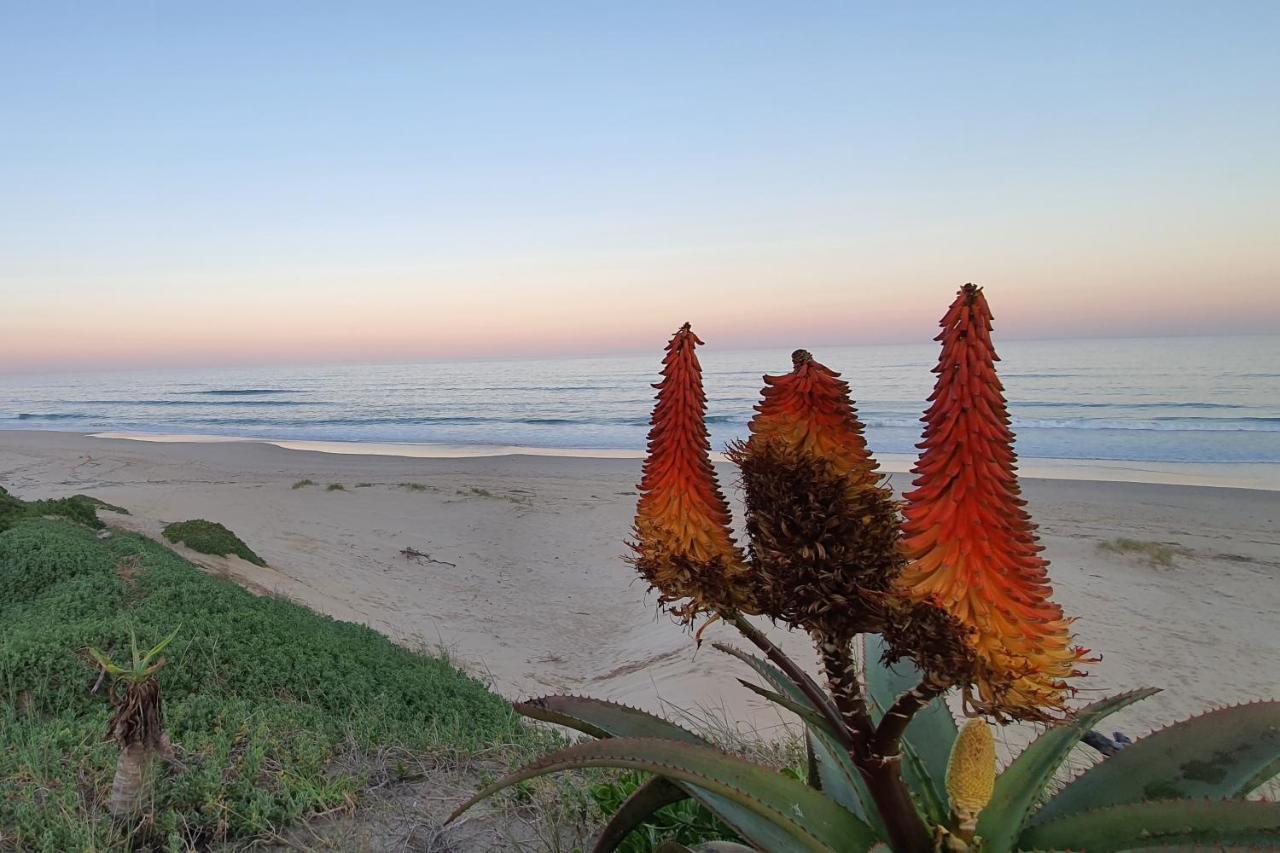 Paradise Found, Paradise Beach, Jeffreys Bay Exterior photo